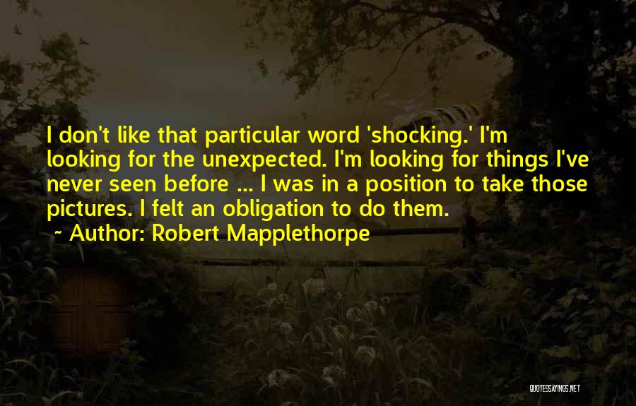 The Unexpected Things Quotes By Robert Mapplethorpe