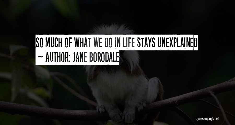 The Unexplained Quotes By Jane Borodale