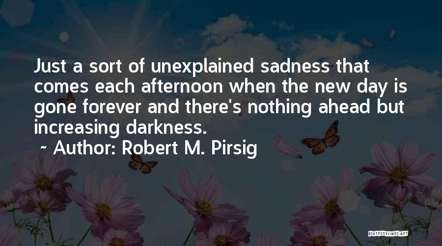The Unexplained Quotes By Robert M. Pirsig