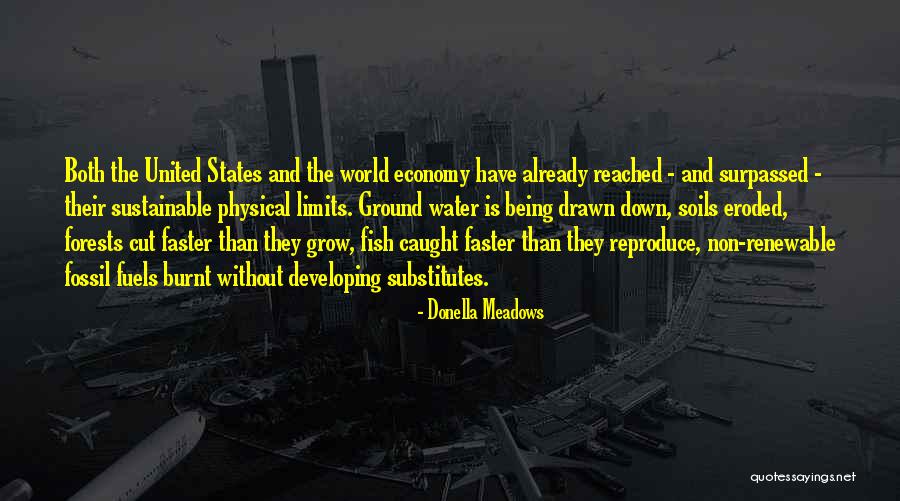 The United States Economy Quotes By Donella Meadows