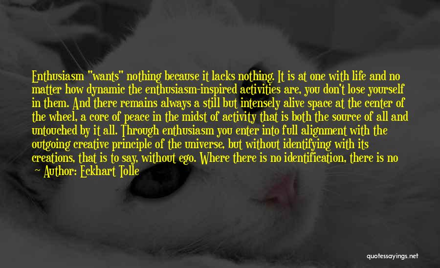 The Universe Alignment Quotes By Eckhart Tolle