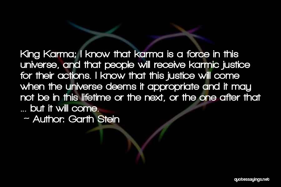 The Universe And Karma Quotes By Garth Stein