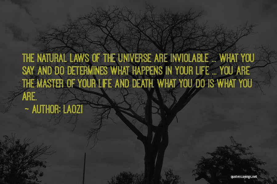 The Universe And Karma Quotes By Laozi