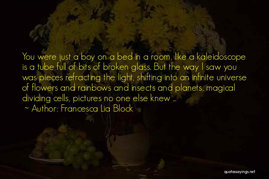 The Universe And Planets Quotes By Francesca Lia Block