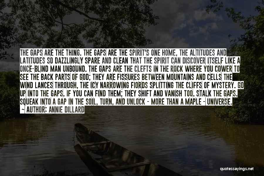 The Universe And Spirituality Quotes By Annie Dillard