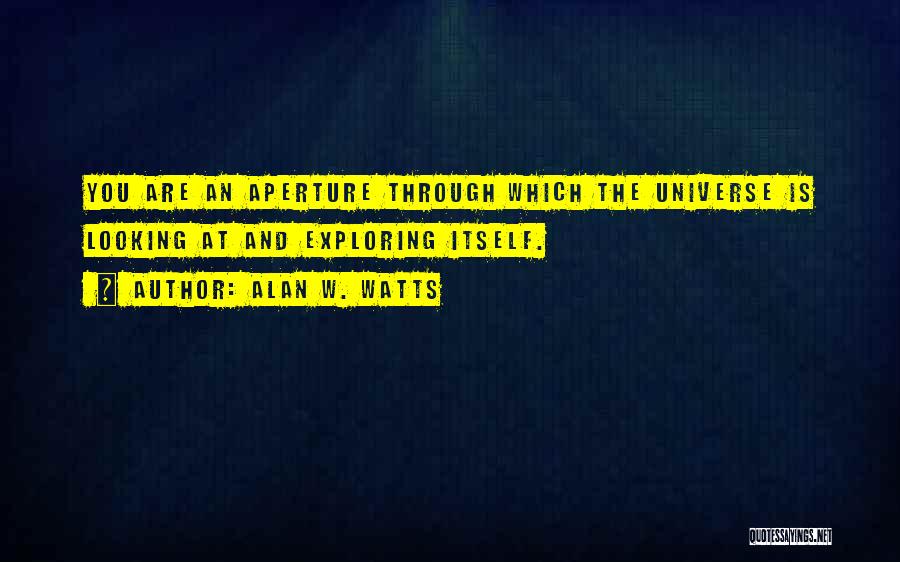 The Universe And You Quotes By Alan W. Watts