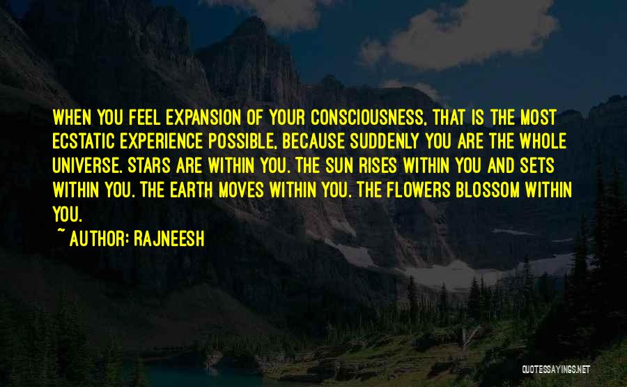 The Universe And You Quotes By Rajneesh
