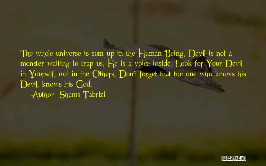 The Universe Knows Quotes By Shams Tabrizi