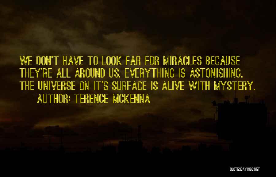 The Universe Mystery Quotes By Terence McKenna