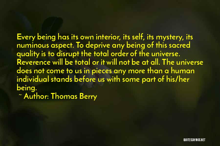 The Universe Mystery Quotes By Thomas Berry