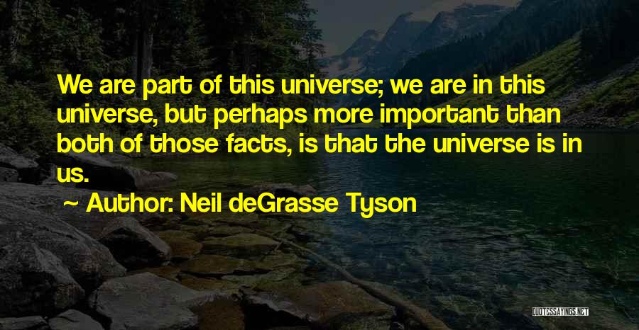 The Universe Neil Degrasse Tyson Quotes By Neil DeGrasse Tyson