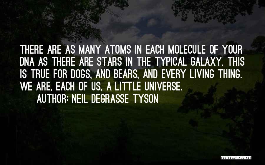 The Universe Neil Degrasse Tyson Quotes By Neil DeGrasse Tyson