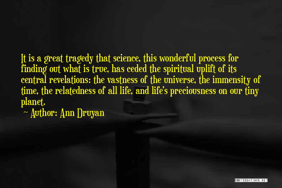 The Universe Spiritual Quotes By Ann Druyan
