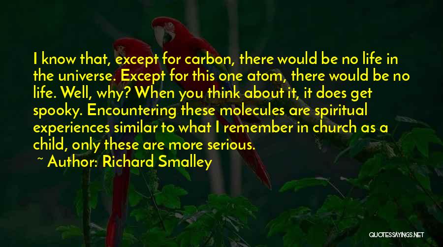The Universe Spiritual Quotes By Richard Smalley