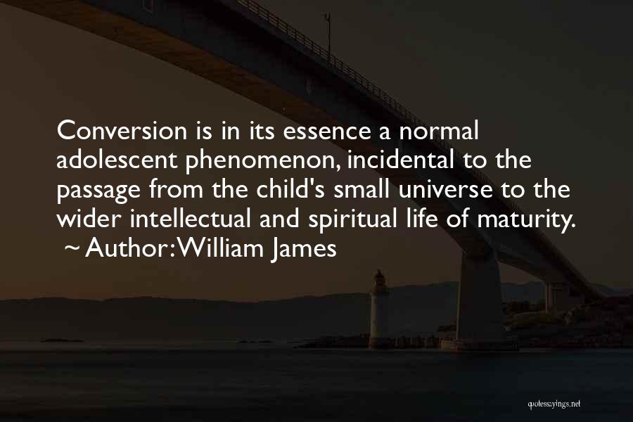 The Universe Spiritual Quotes By William James