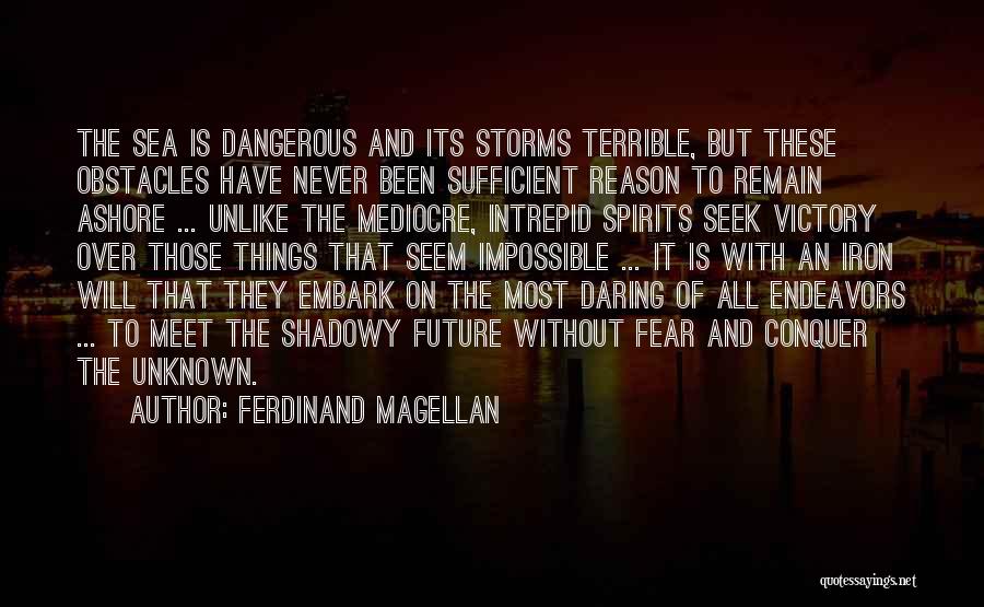 The Unknown Future Quotes By Ferdinand Magellan