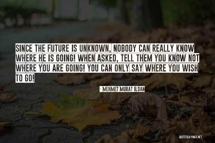 The Unknown Future Quotes By Mehmet Murat Ildan