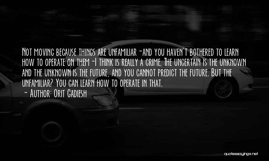The Unknown Future Quotes By Orit Gadiesh