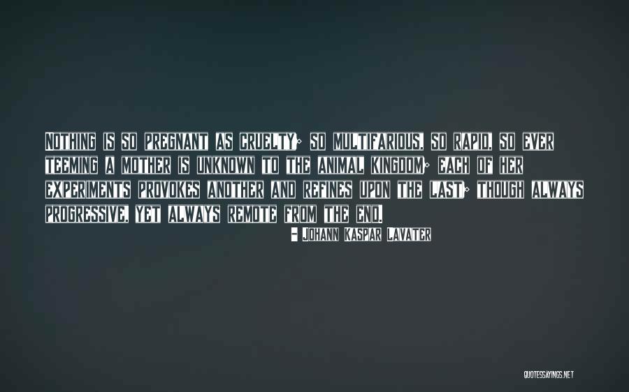 The Unknown Mother Quotes By Johann Kaspar Lavater The Unknown Mother Quotes By Johann Kaspar Lavater