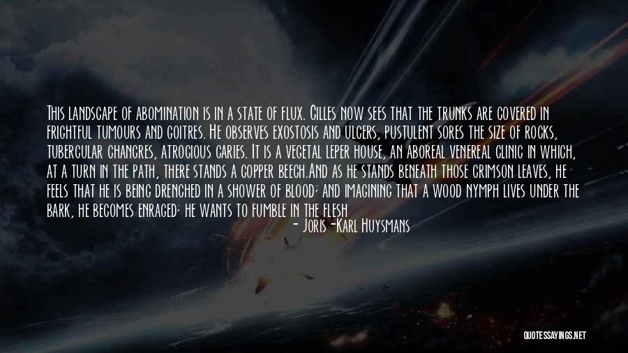 The Unknown Path Quotes By Joris-Karl Huysmans The Unknown Path Quotes By Joris-Karl Huysmans