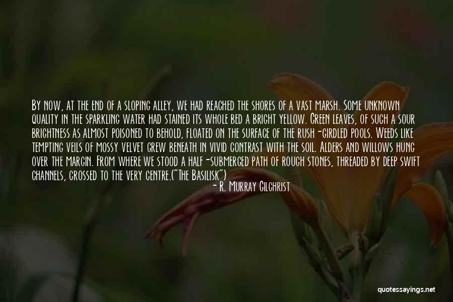 The Unknown Path Quotes By R. Murray Gilchrist The Unknown Path Quotes By R. Murray Gilchrist