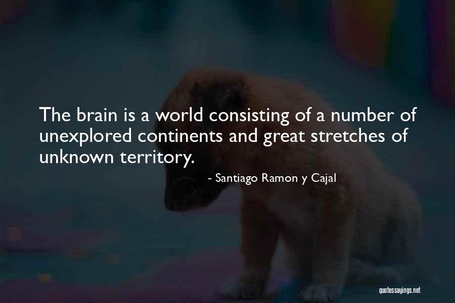 The Unknown World Quotes By Santiago Ramon Y Cajal The Unknown World Quotes By Santiago Ramon Y Cajal