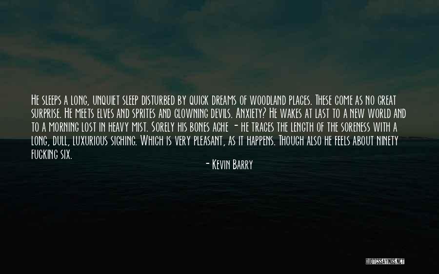 The Unquiet Quotes By Kevin Barry