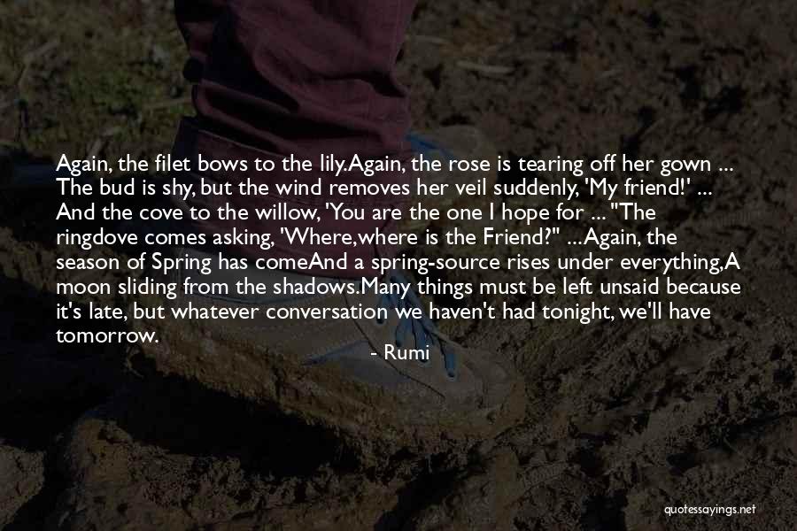 The Unsaid Things Quotes By Rumi The Unsaid Things Quotes By Rumi