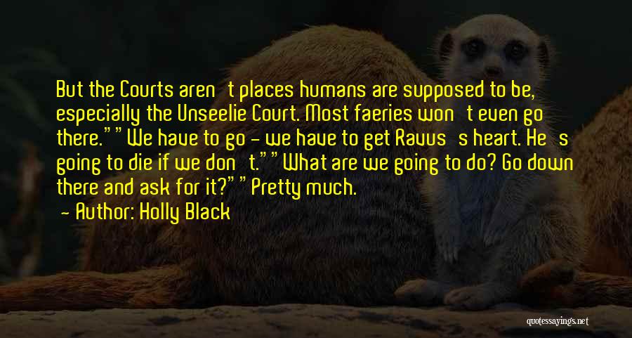 The Unseelie Quotes By Holly Black