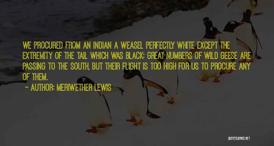 The Us Quotes By Meriwether Lewis