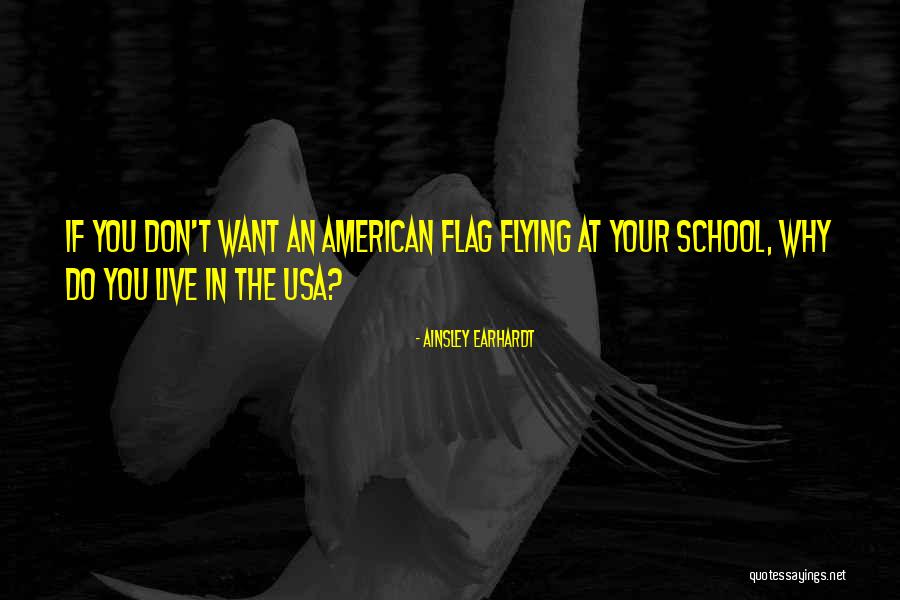 The Usa Flag Quotes By Ainsley Earhardt The Usa Flag Quotes By Ainsley Earhardt