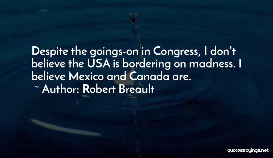 The Usa Quotes By Robert Breault