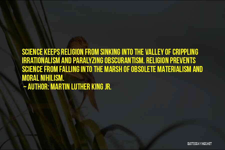 The Valley Quotes By Martin Luther King Jr.