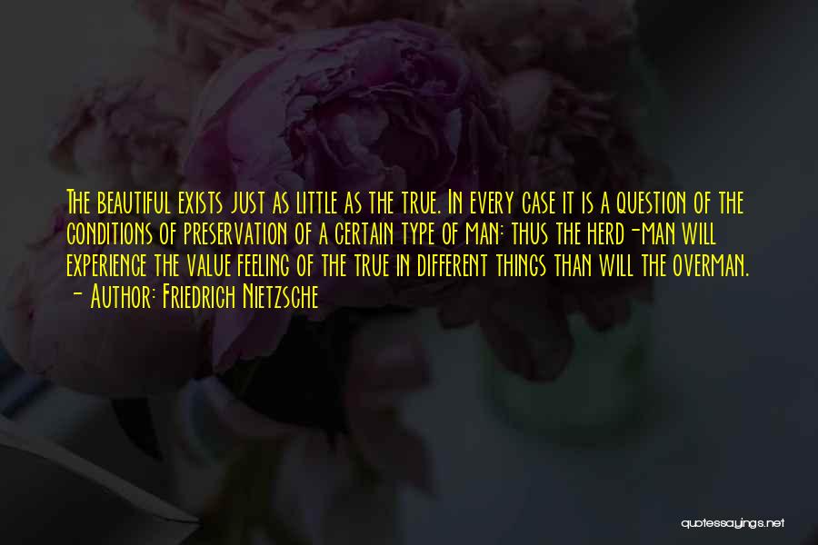 The Value Of Little Things Quotes By Friedrich Nietzsche