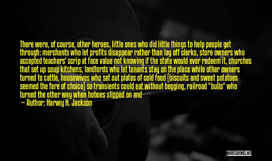 The Value Of Little Things Quotes By Harvey H. Jackson