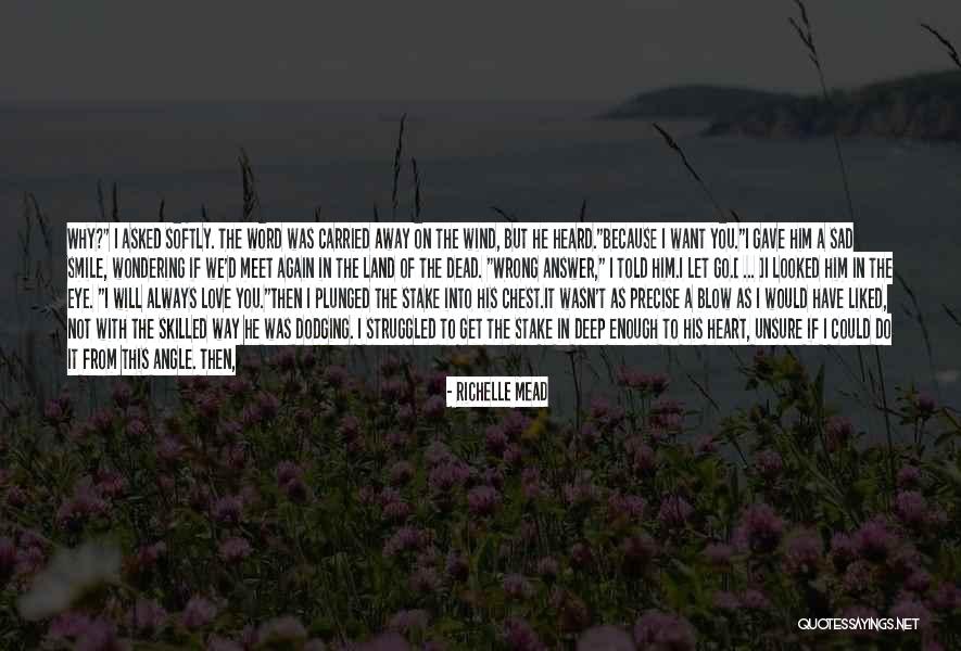 The Vampire Academy Quotes By Richelle Mead The Vampire Academy Quotes By Richelle Mead