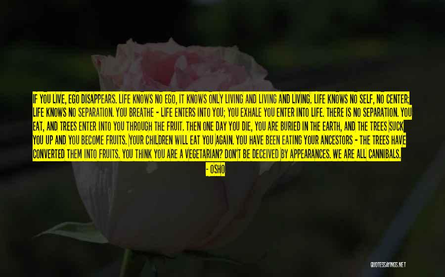 The Vegetarian Quotes By Osho The Vegetarian Quotes By Osho