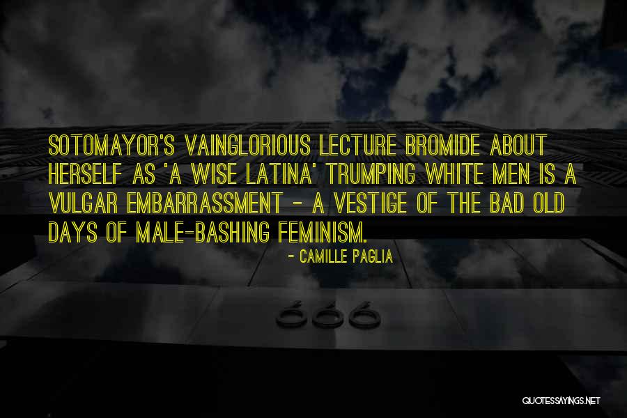 The Vestige Quotes By Camille Paglia The Vestige Quotes By Camille Paglia