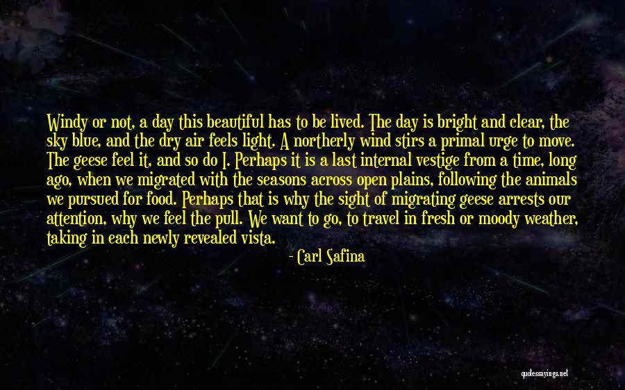 The Vestige Quotes By Carl Safina The Vestige Quotes By Carl Safina
