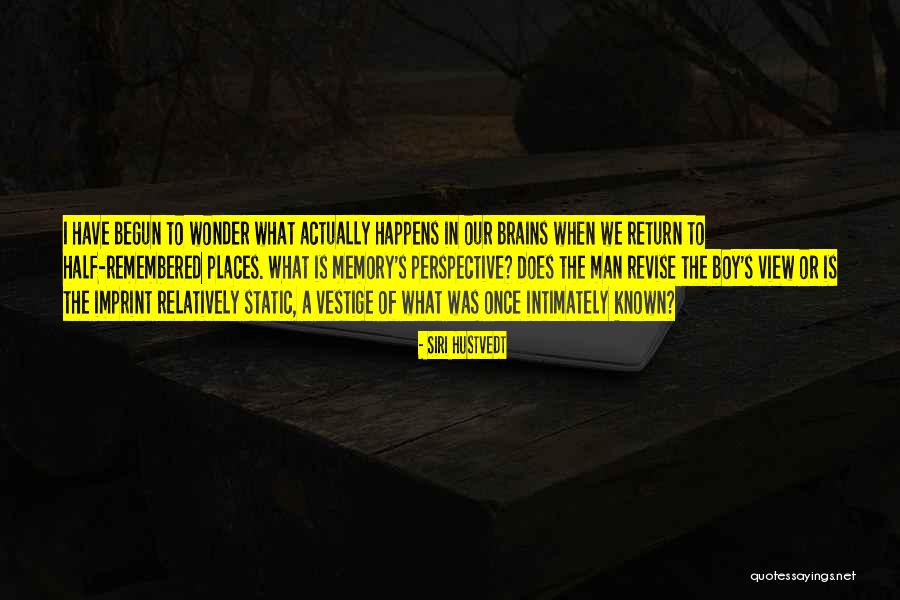 The Vestige Quotes By Siri Hustvedt The Vestige Quotes By Siri Hustvedt