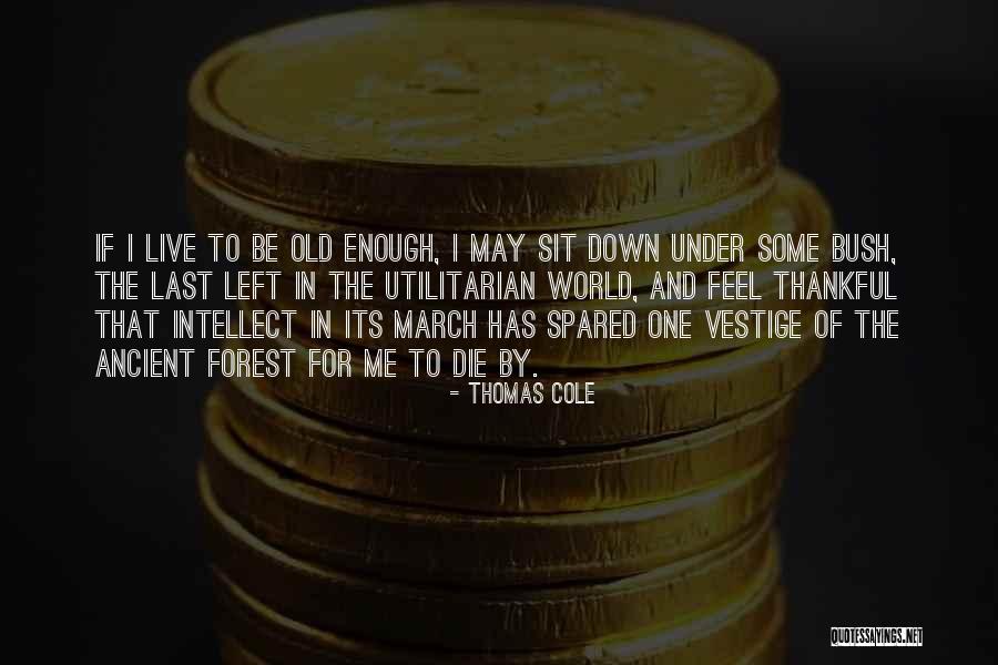 The Vestige Quotes By Thomas Cole The Vestige Quotes By Thomas Cole