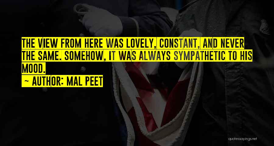 The View From Here Quotes By Mal Peet