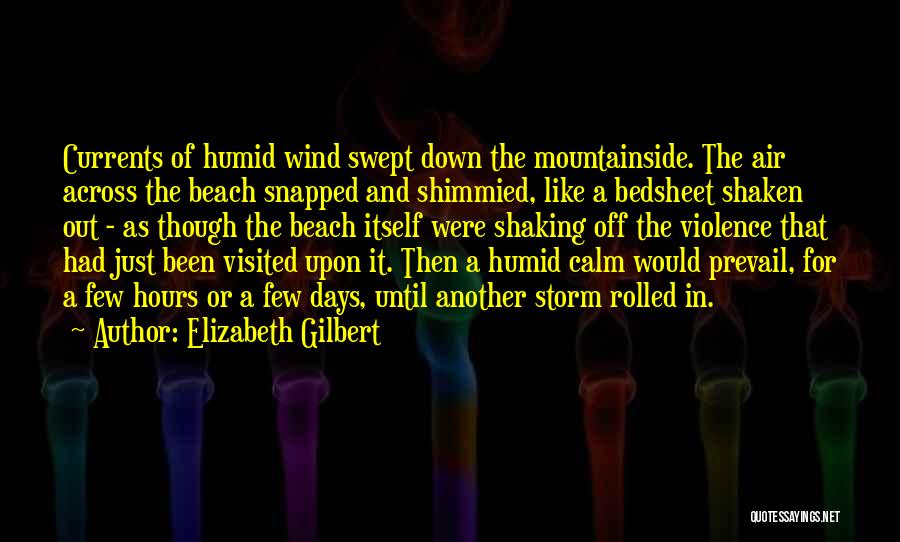 The Violence Quotes By Elizabeth Gilbert