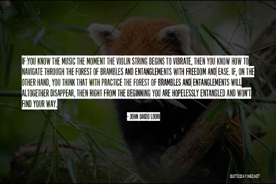 The Violin Quotes By John Daido Loori The Violin Quotes By John Daido Loori