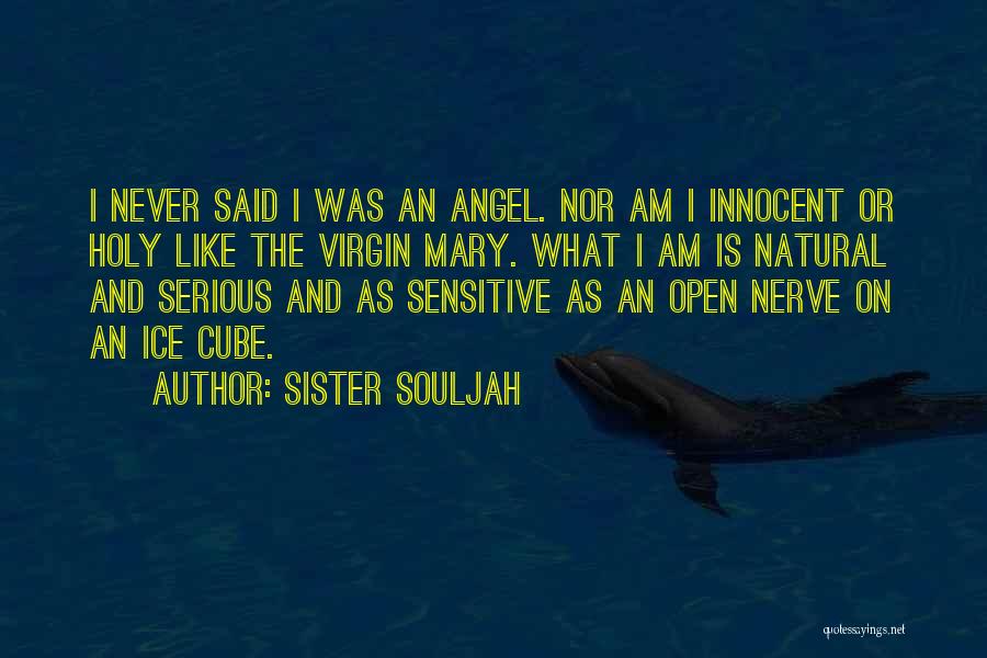 The Virgin Mary Quotes By Sister Souljah