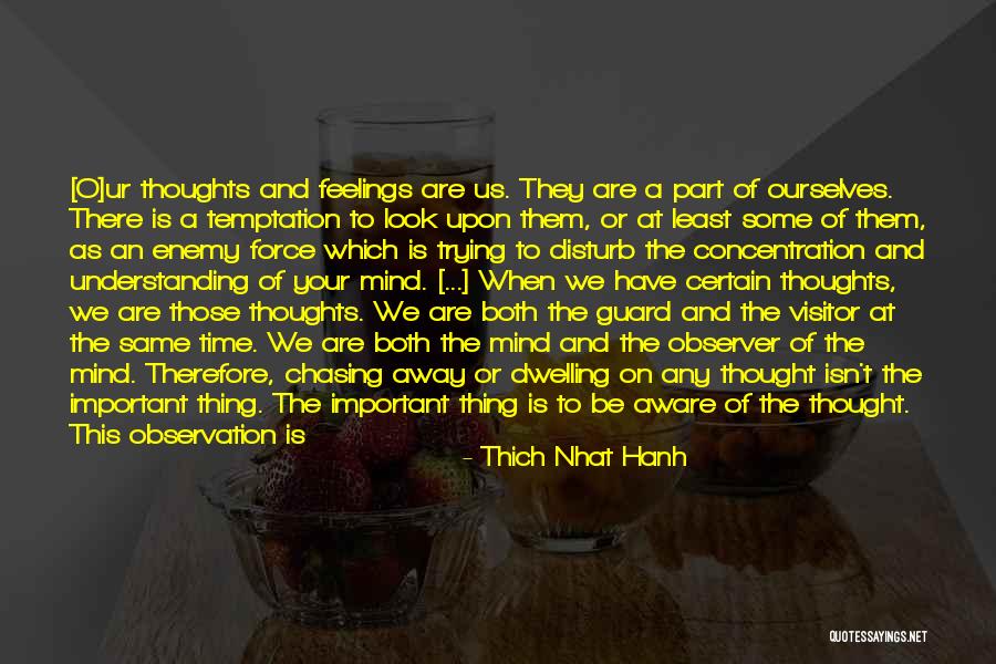 The Visitor Quotes By Thich Nhat Hanh The Visitor Quotes By Thich Nhat Hanh