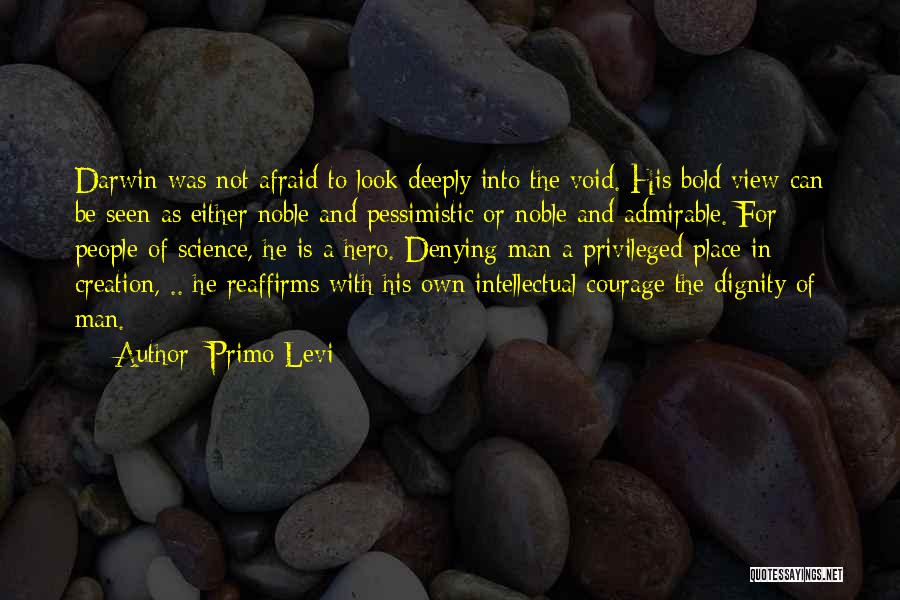 The Void Quotes By Primo Levi