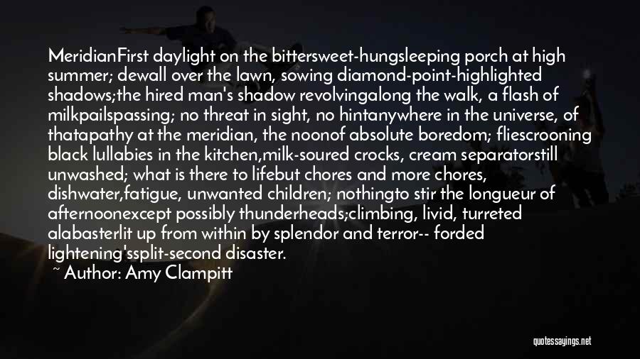 The Walk Of Life Quotes By Amy Clampitt