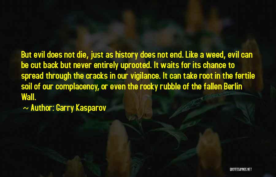 The Wall Of Berlin Quotes By Garry Kasparov