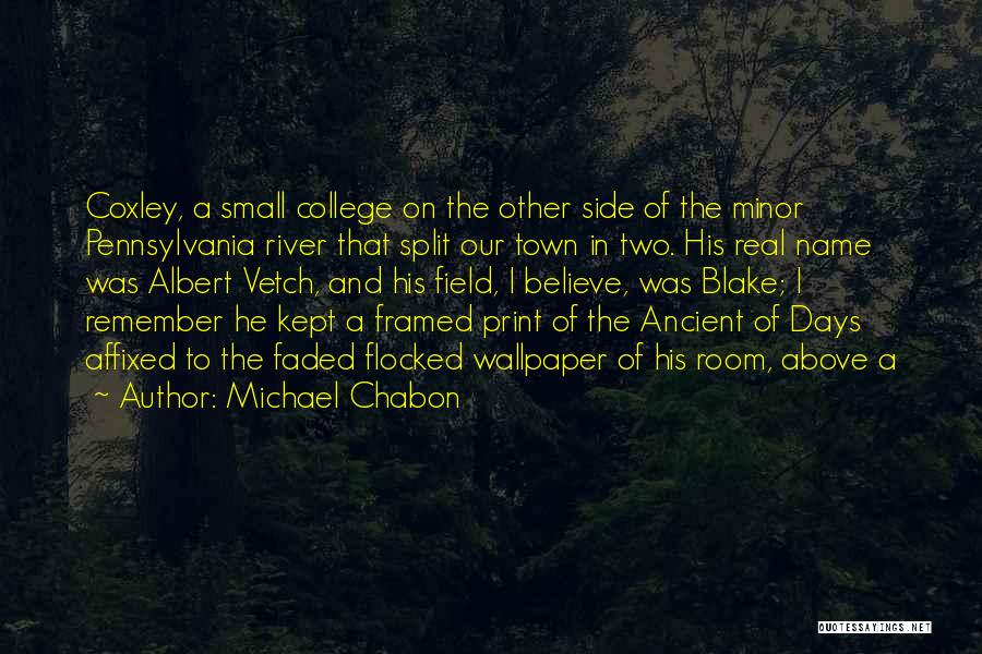 The Wallpaper Quotes By Michael Chabon